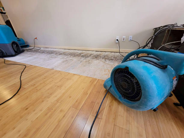 Professional Flood Damage Cleanup technician working in Waterville, NY